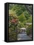 Japanese Tea Garden, Golden Gate Park, San Francisco-Anna Miller-Framed Stretched Canvas