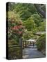 Japanese Tea Garden, Golden Gate Park, San Francisco-Anna Miller-Stretched Canvas