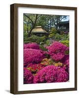 Japanese Tea Garden, Golden Gate Park, San Francisco-Anna Miller-Framed Photographic Print