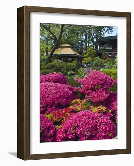 Japanese Tea Garden, Golden Gate Park, San Francisco-Anna Miller-Framed Photographic Print