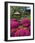 Japanese Tea Garden, Golden Gate Park, San Francisco-Anna Miller-Framed Photographic Print