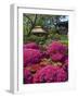 Japanese Tea Garden, Golden Gate Park, San Francisco-Anna Miller-Framed Photographic Print