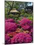 Japanese Tea Garden, Golden Gate Park, San Francisco-Anna Miller-Mounted Photographic Print