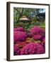 Japanese Tea Garden, Golden Gate Park, San Francisco-Anna Miller-Framed Photographic Print