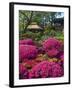 Japanese Tea Garden, Golden Gate Park, San Francisco-Anna Miller-Framed Photographic Print