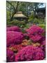 Japanese Tea Garden, Golden Gate Park, San Francisco-Anna Miller-Mounted Photographic Print