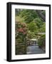 Japanese Tea Garden, Golden Gate Park, San Francisco-Anna Miller-Framed Photographic Print