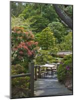 Japanese Tea Garden, Golden Gate Park, San Francisco-Anna Miller-Mounted Photographic Print