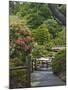 Japanese Tea Garden, Golden Gate Park, San Francisco-Anna Miller-Mounted Photographic Print