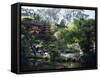 Japanese Tea Garden in the Golden Gate Park, San Francisco, California, USA-Fraser Hall-Framed Stretched Canvas