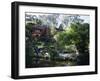 Japanese Tea Garden in the Golden Gate Park, San Francisco, California, USA-Fraser Hall-Framed Photographic Print