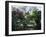 Japanese Tea Garden in the Golden Gate Park, San Francisco, California, USA-Fraser Hall-Framed Photographic Print