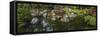 Japanese Tea Garden pond, San Francisco, California, USA-Anna Miller-Framed Stretched Canvas