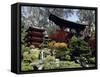 Japanese Tea Garden, San Francisco, California, USA-null-Framed Stretched Canvas