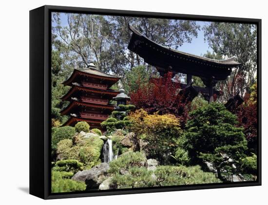 Japanese Tea Garden, San Francisco, California, USA-null-Framed Stretched Canvas