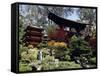 Japanese Tea Garden, San Francisco, California, USA-null-Framed Stretched Canvas
