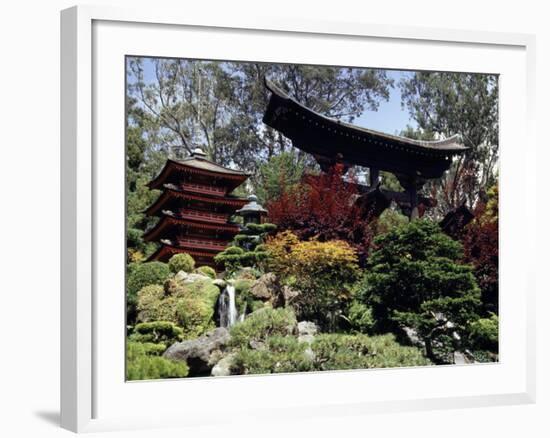 Japanese Tea Garden, San Francisco, California, USA-null-Framed Photographic Print