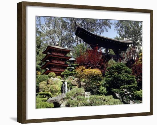 Japanese Tea Garden, San Francisco, California, USA-null-Framed Photographic Print