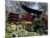 Japanese Tea Garden, San Francisco, California, USA-null-Mounted Photographic Print