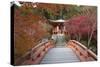 Japanese Temple Garden in Autumn, Daigoji Temple, Kyoto, Japan-Stuart Black-Stretched Canvas