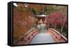 Japanese Temple Garden in Autumn, Daigoji Temple, Kyoto, Japan-Stuart Black-Framed Stretched Canvas