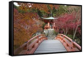 Japanese Temple Garden in Autumn, Daigoji Temple, Kyoto, Japan-Stuart Black-Framed Stretched Canvas