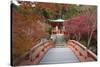 Japanese Temple Garden in Autumn, Daigoji Temple, Kyoto, Japan-Stuart Black-Stretched Canvas