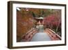 Japanese Temple Garden in Autumn, Daigoji Temple, Kyoto, Japan-Stuart Black-Framed Photographic Print