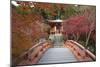 Japanese Temple Garden in Autumn, Daigoji Temple, Kyoto, Japan-Stuart Black-Mounted Photographic Print