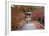 Japanese Temple Garden in Autumn, Daigoji Temple, Kyoto, Japan-Stuart Black-Framed Photographic Print