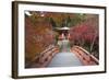 Japanese Temple Garden in Autumn, Daigoji Temple, Kyoto, Japan-Stuart Black-Framed Photographic Print