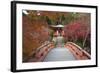 Japanese Temple Garden in Autumn, Daigoji Temple, Kyoto, Japan-Stuart Black-Framed Photographic Print