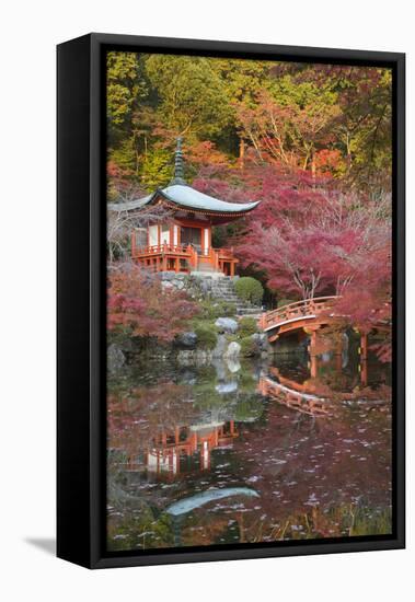 Japanese Temple Garden in Autumn, Daigoji Temple, Kyoto, Japan-Stuart Black-Framed Stretched Canvas