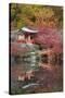 Japanese Temple Garden in Autumn, Daigoji Temple, Kyoto, Japan-Stuart Black-Stretched Canvas