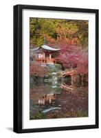 Japanese Temple Garden in Autumn, Daigoji Temple, Kyoto, Japan-Stuart Black-Framed Premium Photographic Print