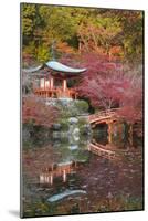 Japanese Temple Garden in Autumn, Daigoji Temple, Kyoto, Japan-Stuart Black-Mounted Photographic Print