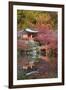 Japanese Temple Garden in Autumn, Daigoji Temple, Kyoto, Japan-Stuart Black-Framed Photographic Print