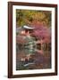 Japanese Temple Garden in Autumn, Daigoji Temple, Kyoto, Japan-Stuart Black-Framed Photographic Print