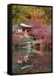 Japanese Temple Garden in Autumn, Daigoji Temple, Kyoto, Japan-Stuart Black-Framed Stretched Canvas