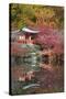 Japanese Temple Garden in Autumn, Daigoji Temple, Kyoto, Japan-Stuart Black-Stretched Canvas