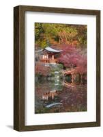 Japanese Temple Garden in Autumn, Daigoji Temple, Kyoto, Japan-Stuart Black-Framed Photographic Print