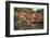 Japanese Temple Garden in Autumn, Daigoji Temple, Kyoto, Japan-Stuart Black-Framed Photographic Print