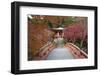 Japanese Temple Garden in Autumn, Daigoji Temple, Kyoto, Japan-Stuart Black-Framed Photographic Print