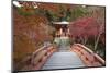 Japanese Temple Garden in Autumn, Daigoji Temple, Kyoto, Japan-Stuart Black-Mounted Photographic Print