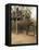 Japanese Tourists Board the Elephant That Will Take Them on Safari-Don Smith-Framed Stretched Canvas