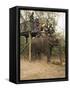 Japanese Tourists Board the Elephant That Will Take Them on Safari-Don Smith-Framed Stretched Canvas