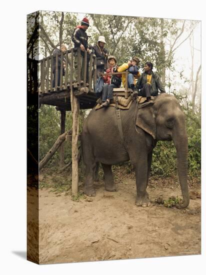 Japanese Tourists Board the Elephant That Will Take Them on Safari-Don Smith-Stretched Canvas