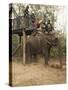 Japanese Tourists Board the Elephant That Will Take Them on Safari-Don Smith-Stretched Canvas