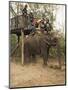 Japanese Tourists Board the Elephant That Will Take Them on Safari-Don Smith-Mounted Photographic Print