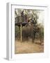 Japanese Tourists Board the Elephant That Will Take Them on Safari-Don Smith-Framed Photographic Print